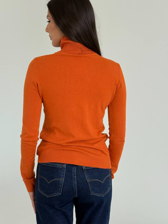 Lightweight knit turtleneck sweater
